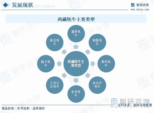 一文浅析2023年中国牦牛养殖现状、优势养殖区域及未来发展前景