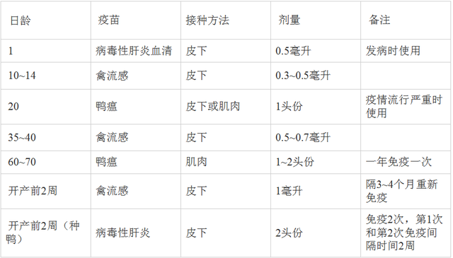 蛋鸭养殖“从鸭屁股里赚钱”，不是从“鸭嘴里省钱”