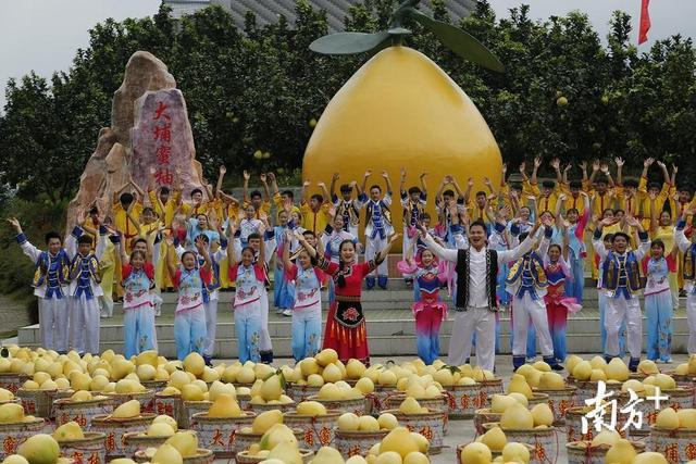 大埔：柚果飘香丰收季 农民晒出好年景