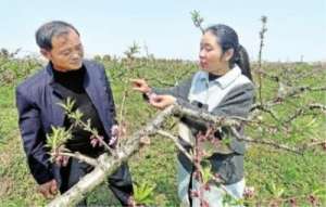 油桃种植西瓜图片高清版(武大毕业生回乡建起“世外桃源”)