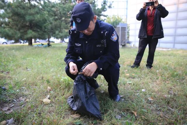 北京望京一河里惊现鳄鱼！警方：已捕获，疑是人为放生