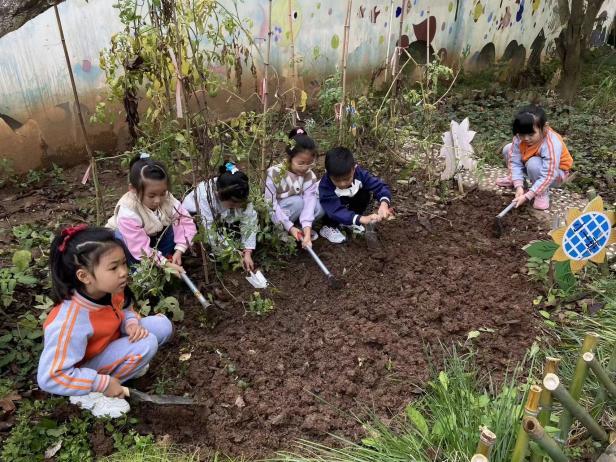 西安市灞桥区狄寨中心幼儿园香菜日记