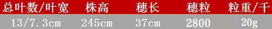 从土壤物质成分到“身世”线索，红缨子糯高粱如何成为酱酒原料？