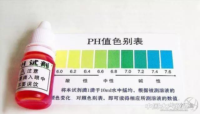 生石灰在水产养殖中的作用及应用