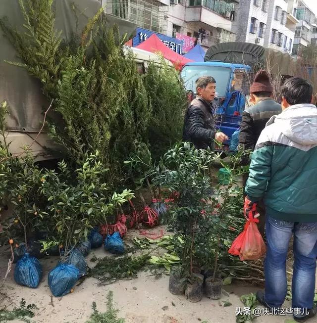 春天的乡下集市，生机勃勃