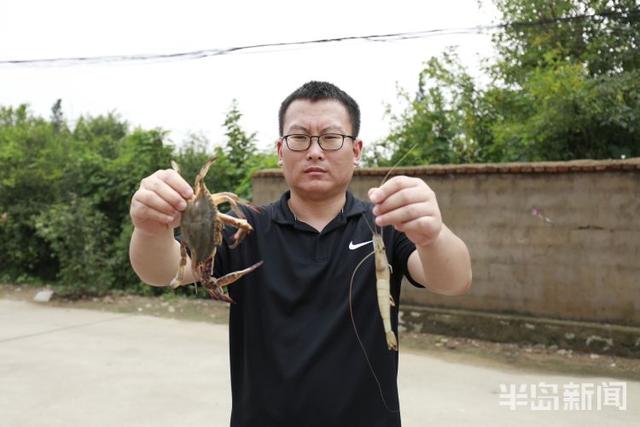 开海寻鲜记②｜海水养殖，青岛秘笈“惊动”农业农村部