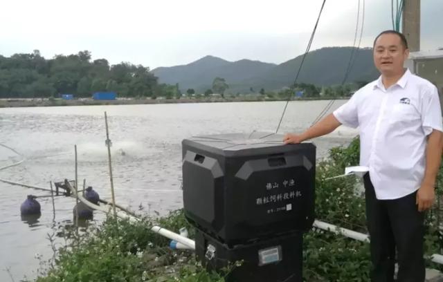 “无人养草鱼”，真的不是梦，可省不少钱