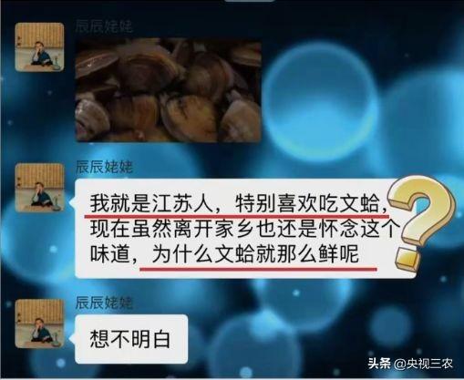 为何这里的文蛤被称为“天下第一鲜”?