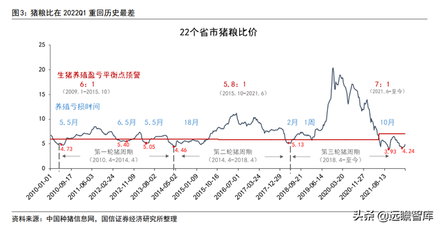 猪周期深度报告：启动周期反转，决胜养殖布局