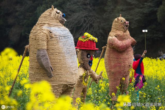 生产中的鸟害你遇到过吗？鸟害如何防好呢？我建议用这几个方法