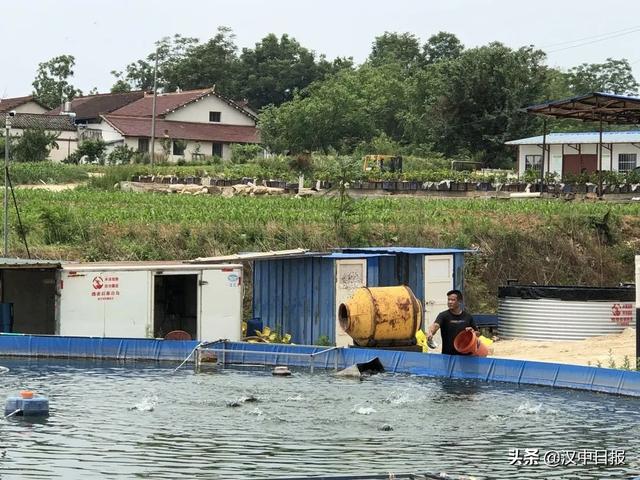 山地上养鱼？！在汉中实现了