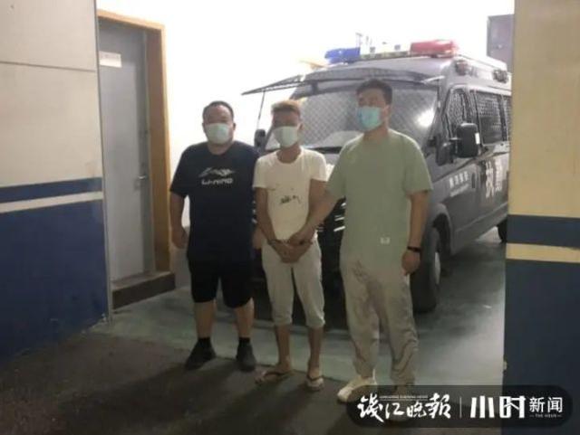 心痛！杭州男子丢了6只“战斗鸡”，每只能卖好几千！每天吃肉吃钙片，还洗澡