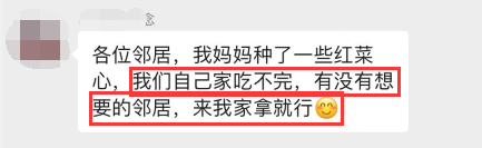 最全“阳台种菜”指南，快收藏！一次学会10种，省钱省心、一年四季鲜蔬不断~