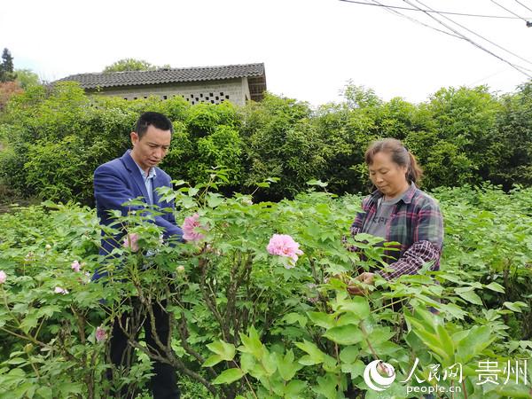 红花岗区勤乐花卉种植场：省级示范家庭农场