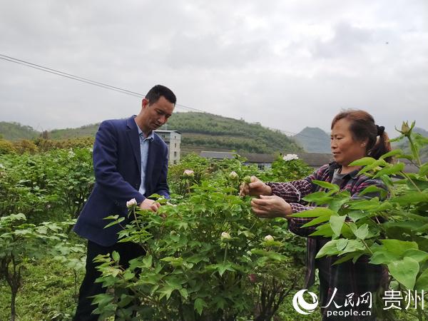 红花岗区勤乐花卉种植场：省级示范家庭农场