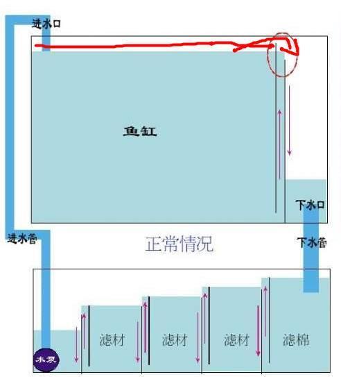 鱼缸的过滤器可以替代氧气泵吗，两套设备同时运行可停掉一套吗？