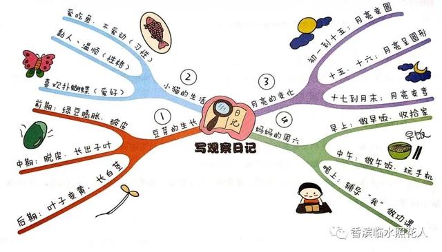 「思维导图“画”作文」 我的绿豆芽观察日记（十）