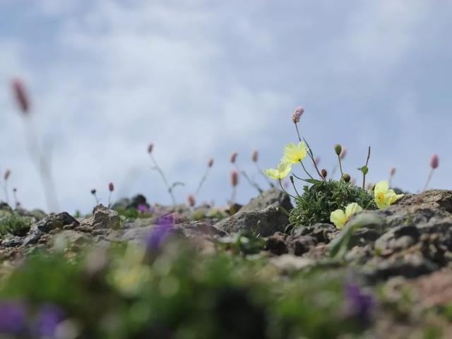 2.5亿年，东北如何从火山变粮仓？