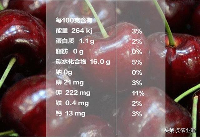 车厘子树苗适合哪里种，南方种车厘子能结果吗