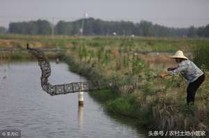 养殖龙虾沟状池塘图(沾益区20亩水田出租适合养虾)