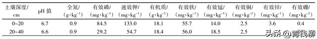 海宁市惊现黑皇葡萄！了解其引种表现和栽培技术