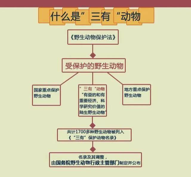 最新调整的“三有动物”中已没有了野猪，农民种田又有了希望