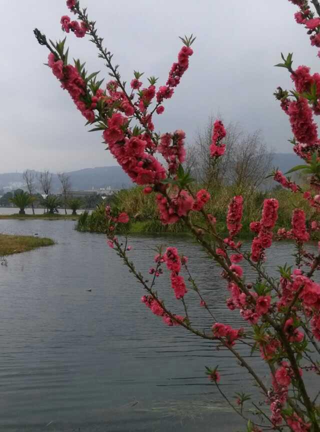 春暖花开看世界……