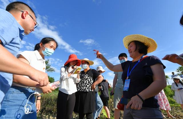 我们的愿望是带着村民奔小康