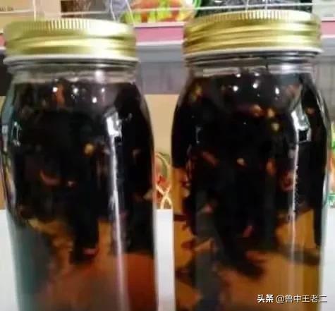 肆虐欧洲的中国大虎头蜂，在国内却被吃肉泡酒！虎头蜂：我太难了