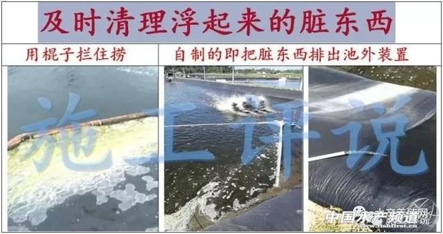 池塘增氧机打不起水花？这种问题养户应如何及时应对