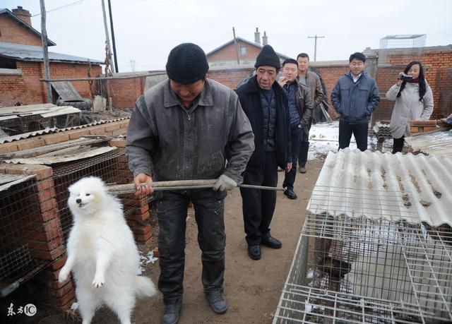 光看别人闷声发大财？特种养殖你试过了么？！别说我没告诉你！