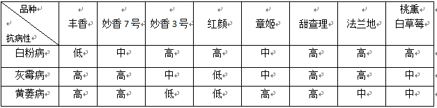 关于草莓种植品种的几点对比和个人建议的选择方向