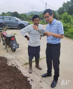 南方生姜种植技术(省农科院科技特派员团队助力汕尾河东镇大屯村生姜种植)