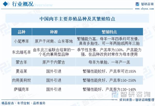 肉羊养殖行业发展前景如何？羊肉需求形势向好，行业发展前景广阔