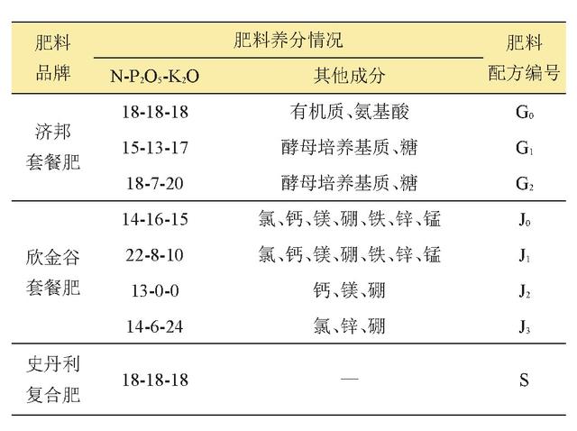 冬天来啦，如何在家盆栽营养又健康的猕猴桃？