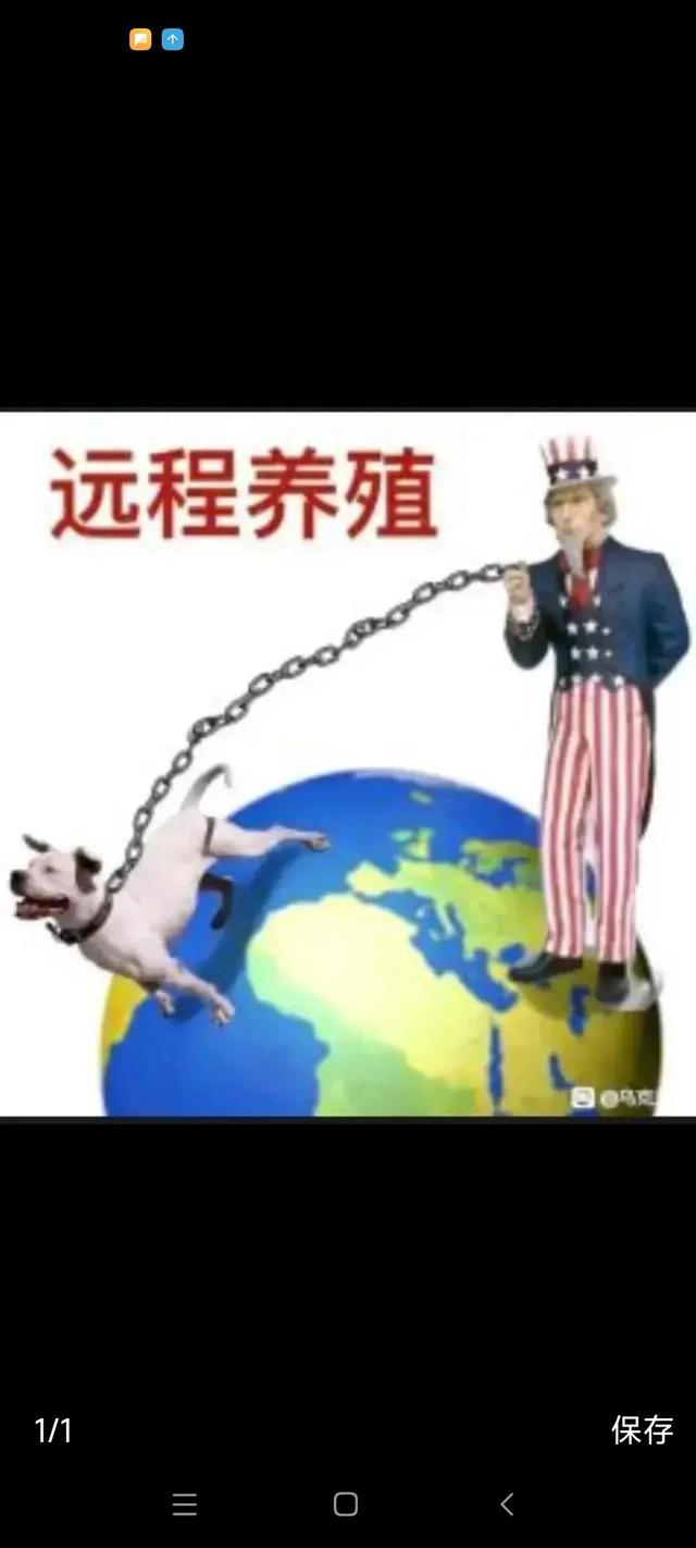 美国远程养殖业牧羊犬非常发达？