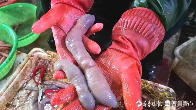 烟台海肠调查：海鲜翘楚何以卖出“白菜价”