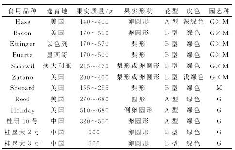 牛油果是2018年火爆网红水果，适合哪些地方种植，如何种植？