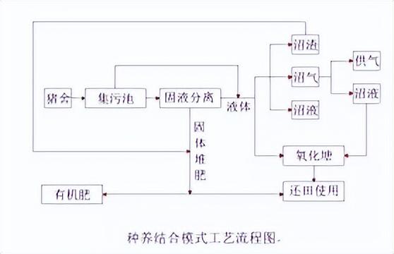 实现突破！新型畜禽养殖废水处理技术，让养殖场更好更快处理垃圾