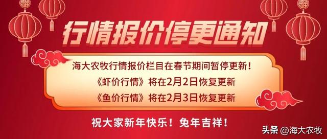 2022年鳊鱼养殖，常州海大逆势突围，助力养户成功赚钱！