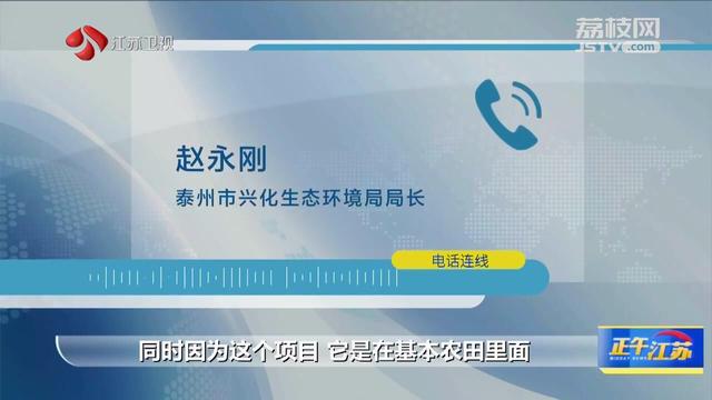 泰州兴化一黑水虻养殖场气味扰民 绿色生态项目为何“不环保”？