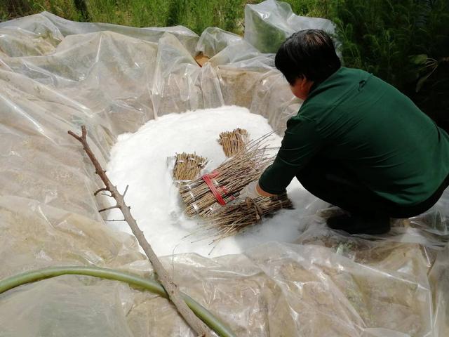 “金蝉”带来好“钱”景