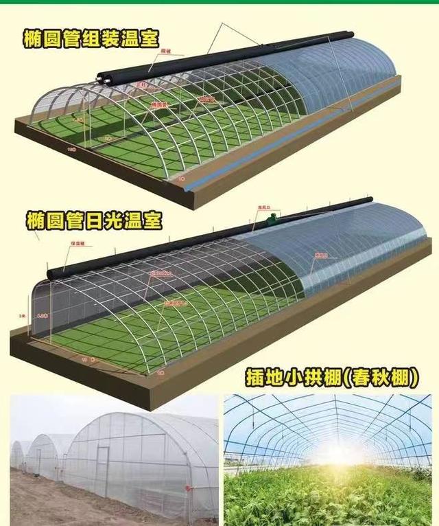 7天建造1座温室零下35℃蔬菜照样长，小哥管理仅靠1部手机，啥样