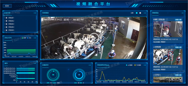 智慧养殖：浅谈视频监控与AI智能识别技术助力奶牛高效、智慧养殖