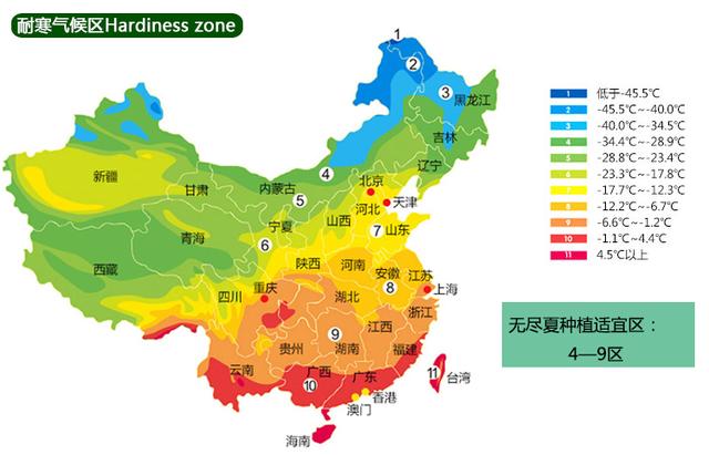 谁说绣球花不好养？做好这5点，绣球一年四季都能爆出大花球