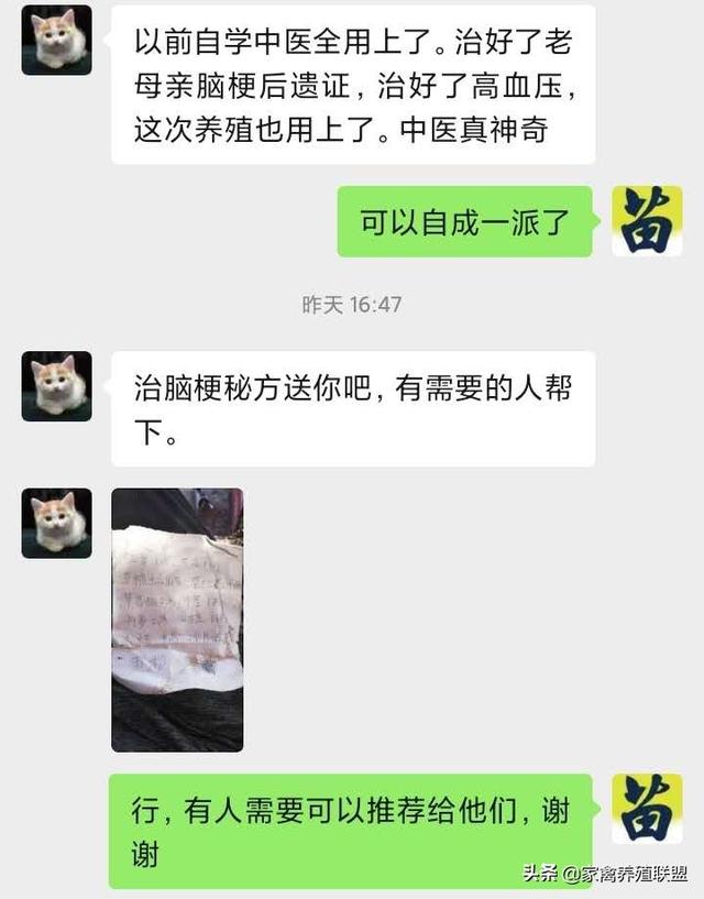 四旬老农用自学“土办法”养鸭，成活率高得有点“假”