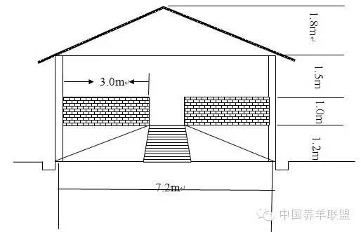 标准化羊舍建设设计图