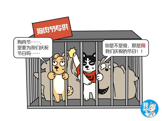 辟谣：吃狗肉就跟吃猪牛羊一样？真的存在所谓的“肉狗”吗？