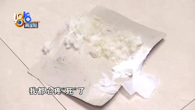 出租房老鼠“蹦迪”，羊驼毛够做鞋