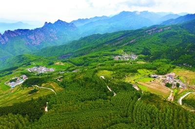 疫情期间找到致富路！密云海拔最高村山洞种出蘑菇